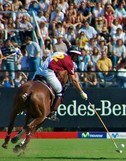 Polo