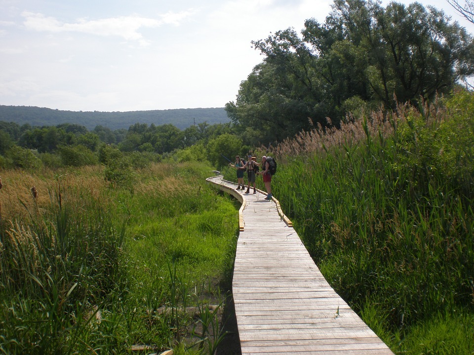 hikers on a wooden road